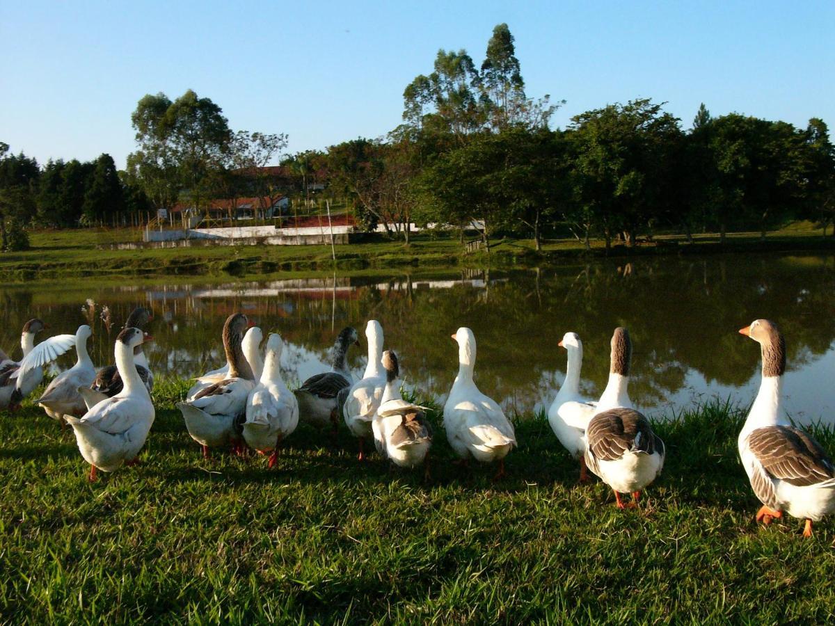 Hotel Fazenda Sete Lagos Guaratinguetá Buitenkant foto